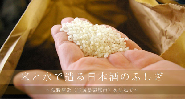 米と水から生まれる日本酒のふしぎ　～萩野酒造（宮城県栗原市）を訪ねて～