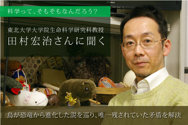 鳥類が恐竜から進化した説を巡り、唯一残されていた矛盾を解決　田村宏治さん（東北大学大学院生命科学研究科教授、発生生物学）